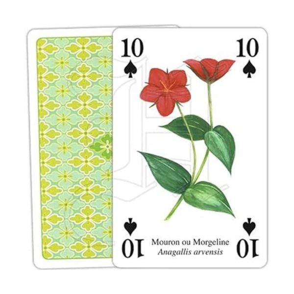 Flores silvestres Juego de cartas_3