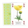 Flores silvestres Juego de cartas_2