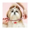 Frienda 48 etiquetas de identificación de mascotas en
