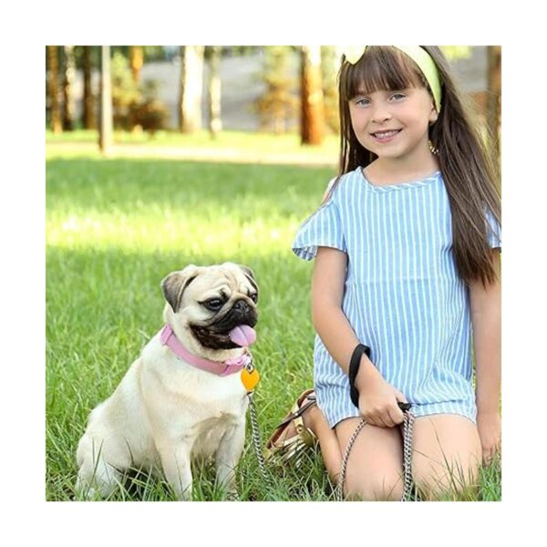 Frienda 48 etiquetas de identificación de mascotas en