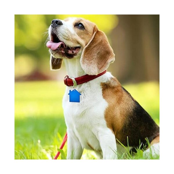 Frienda 48 etiquetas de identificación de mascotas en
