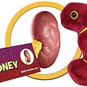 GIANTmicrobes Juguete anatómico de órganos regalo bueno_1