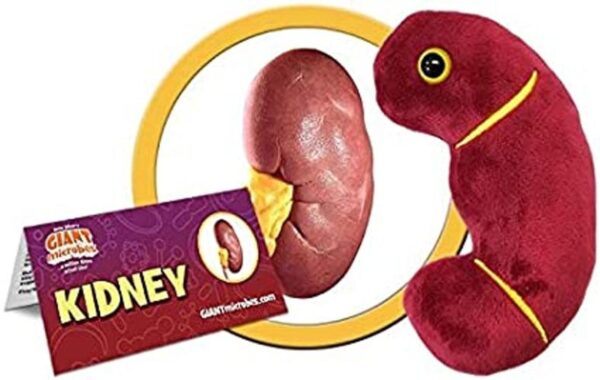 GIANTmicrobes Juguete anatómico de órganos regalo bueno_1