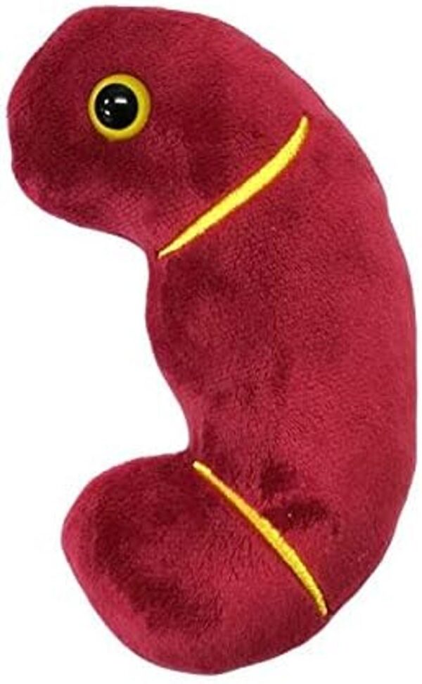 GIANTmicrobes Juguete anatómico de órganos regalo bueno_2