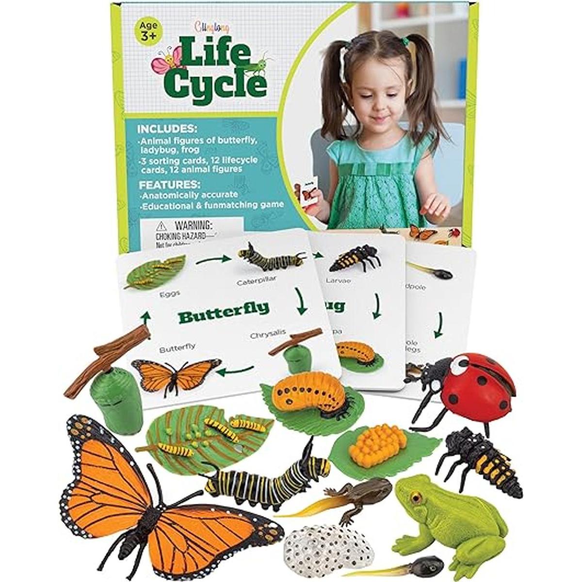 GLINGLONG Kit de ciclo de vida Montessori Juguetes de
