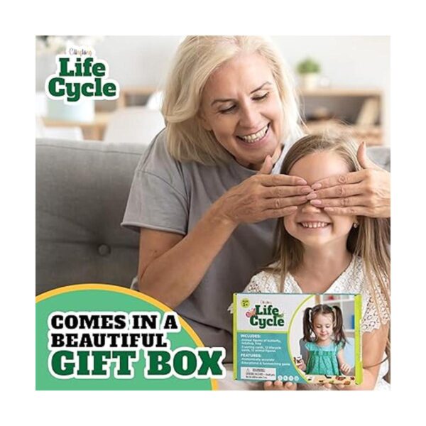 GLINGLONG Kit de ciclo de vida Montessori Juguetes de_2