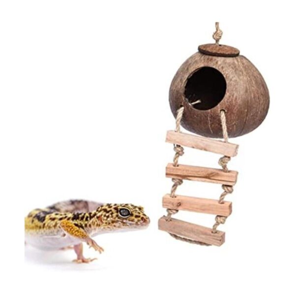Gecko Cabaña de cáscara de coco cabaña de pájaros