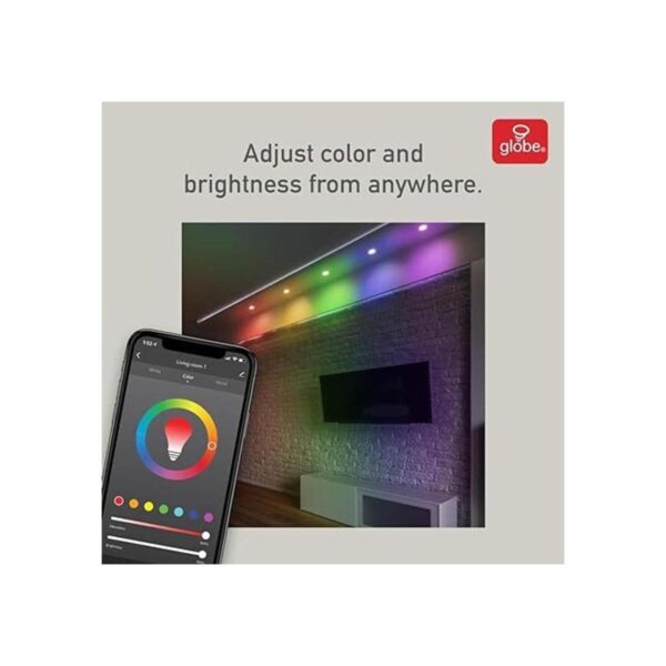Globe Electric 50078 Collection Smart Retrofit Luz_4