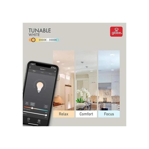 Globe Electric 50078 Collection Smart Retrofit Luz_3