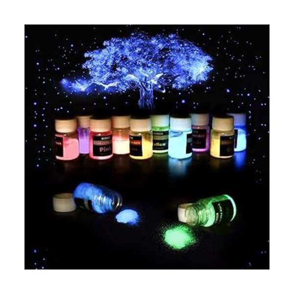 HEMOER 12 colores brillan en la oscuridad pigmento en