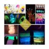 HEMOER 12 colores brillan en la oscuridad pigmento en