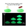 HEMOER 12 colores brillan en la oscuridad pigmento en