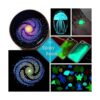 HEMOER 12 colores brillan en la oscuridad pigmento en