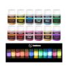 HEMOER 12 colores brillan en la oscuridad pigmento en