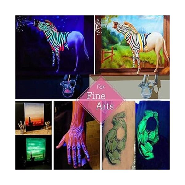 HEMOER 12 colores brillan en la oscuridad pigmento en