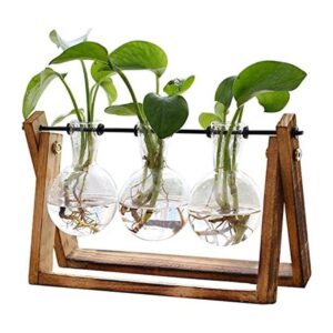 HUABEI Terrario con soporte de madera para plantas globo_1