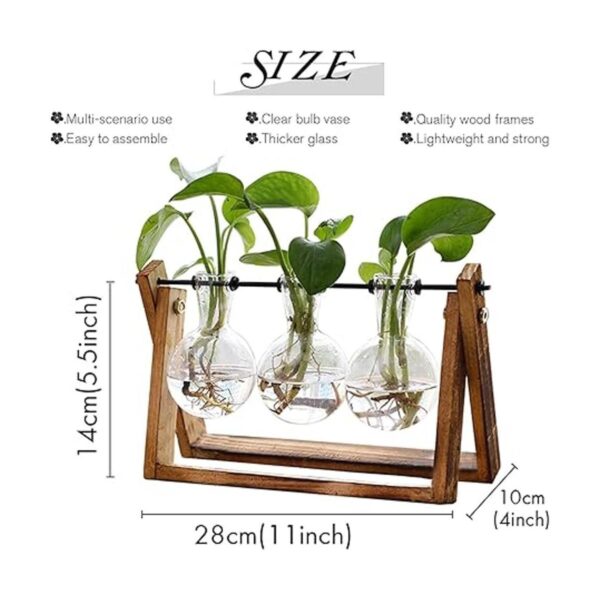 HUABEI Terrario con soporte de madera para plantas globo_2