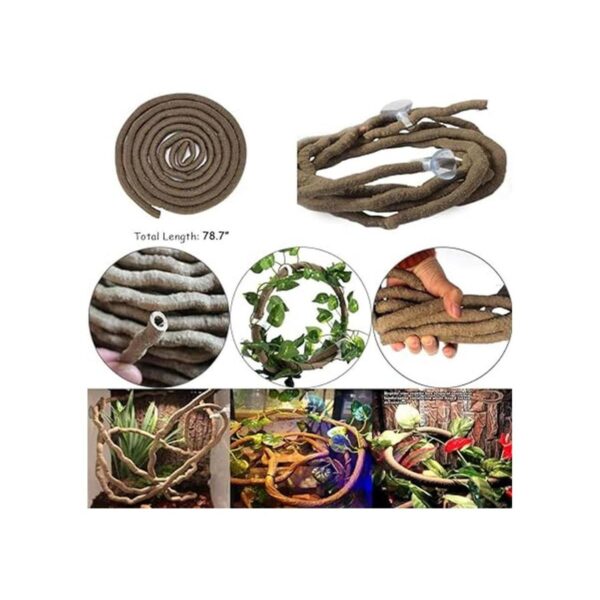 Hamiledyi Bearded Dragon Tank Accessories Lizard Large