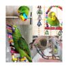 Hamiledyi Bird Parrot Juego de 15 juguetes de masticación_5