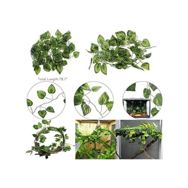 Hamiledyi Bearded Dragon Tank Accessories Lizard Large