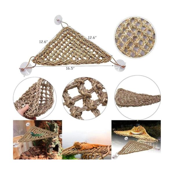 Hamiledyi Accesorios de tanque de dragón barbudo lagartija