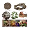 Hamiledyi Accesorios de tanque de dragón barbudo lagartija