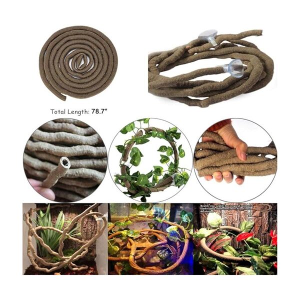 Hamiledyi Accesorios de tanque de dragón barbudo lagartija