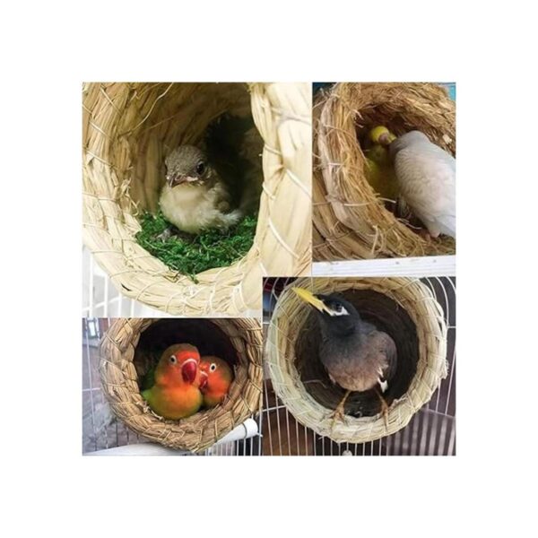 Hamiledyi Paja nido de pájaros ecológico pajita pajita