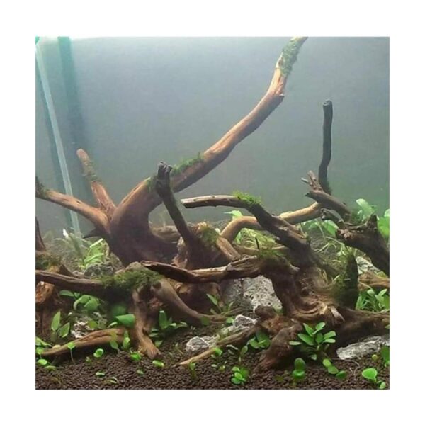 Hamiledyi Paquete de 5 unidades de madera natural flotante