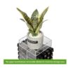 JackCubeDesign MK391A Torre giratoria de pintalabios