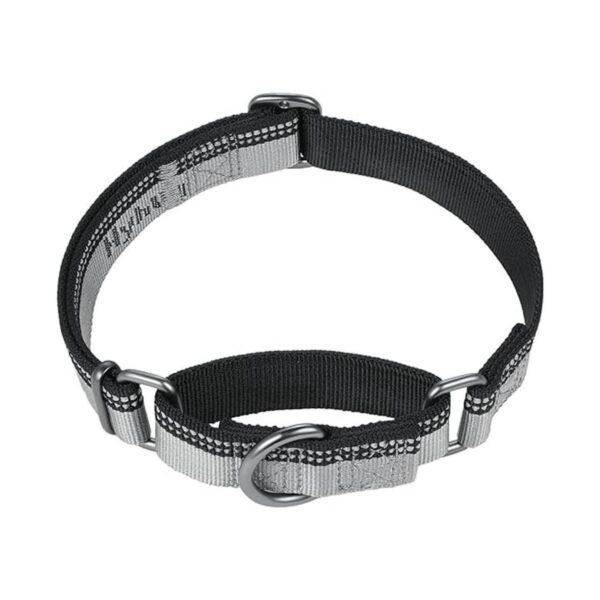 Hyhug 2021 Collar de perro Martingale con tira