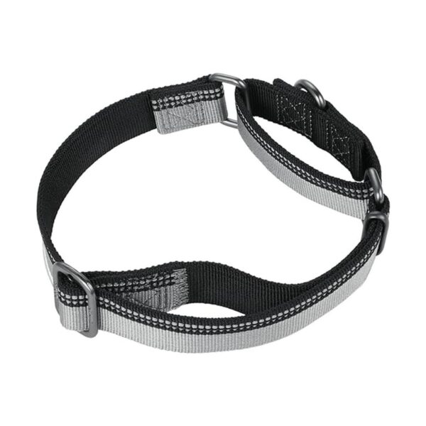 Hyhug 2021 Collar de perro Martingale con tira