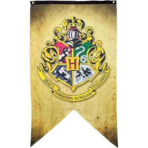 Harry Potter Banner de pared Tamaño grande 29.9 x 50.0_1