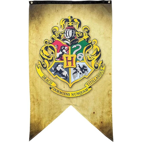 Harry Potter Banner de pared Tamaño grande 29.9 x 50.0_1