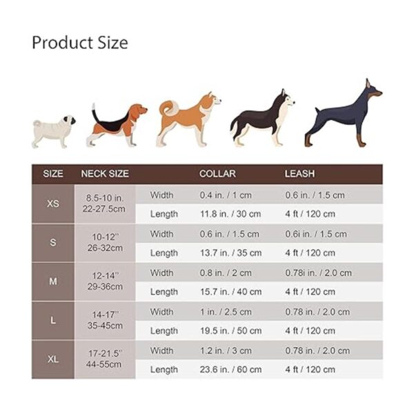 KUDES Collar de cuero para perro y correa de 4 pies