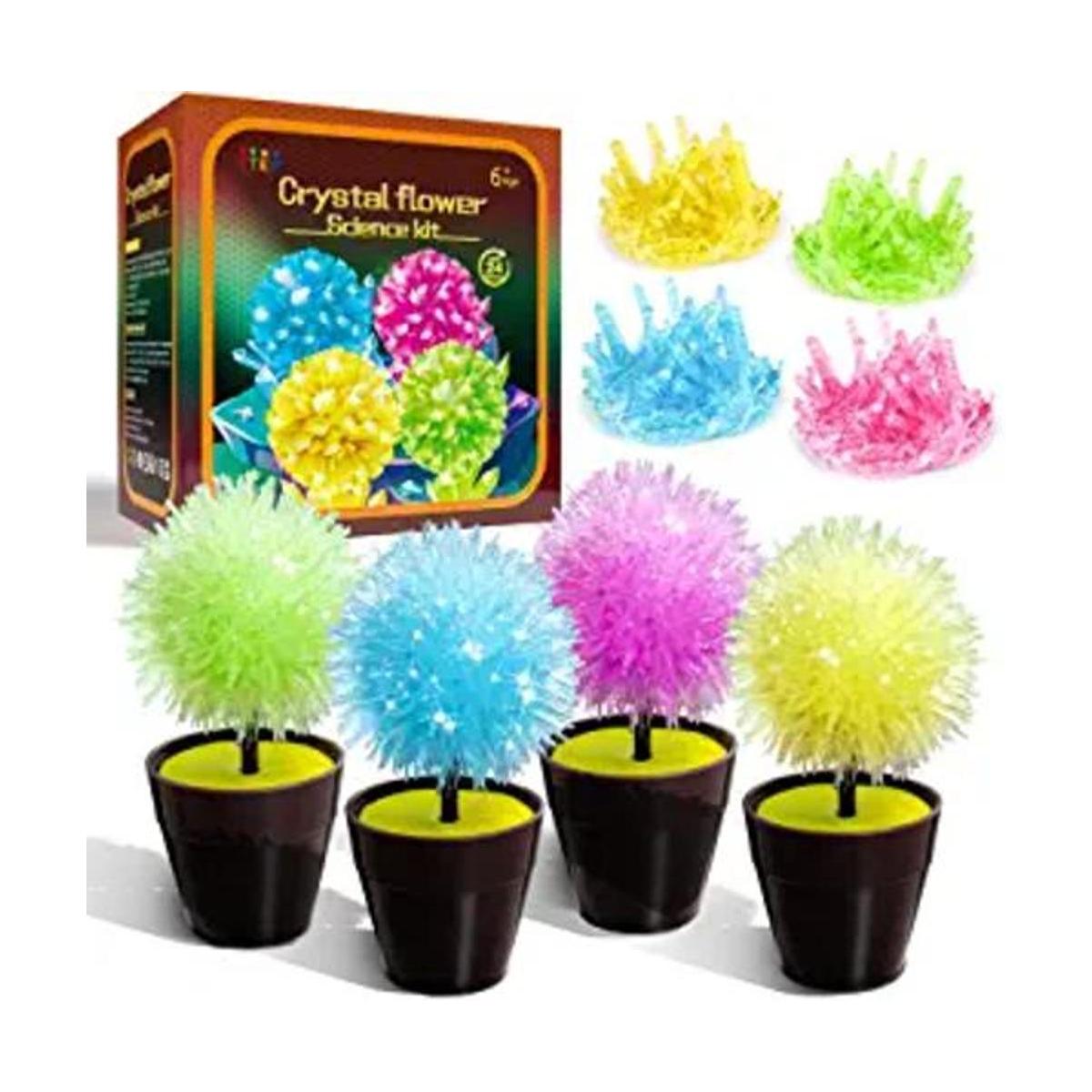Kits de ciencia para niños kit de cultivo de cristales