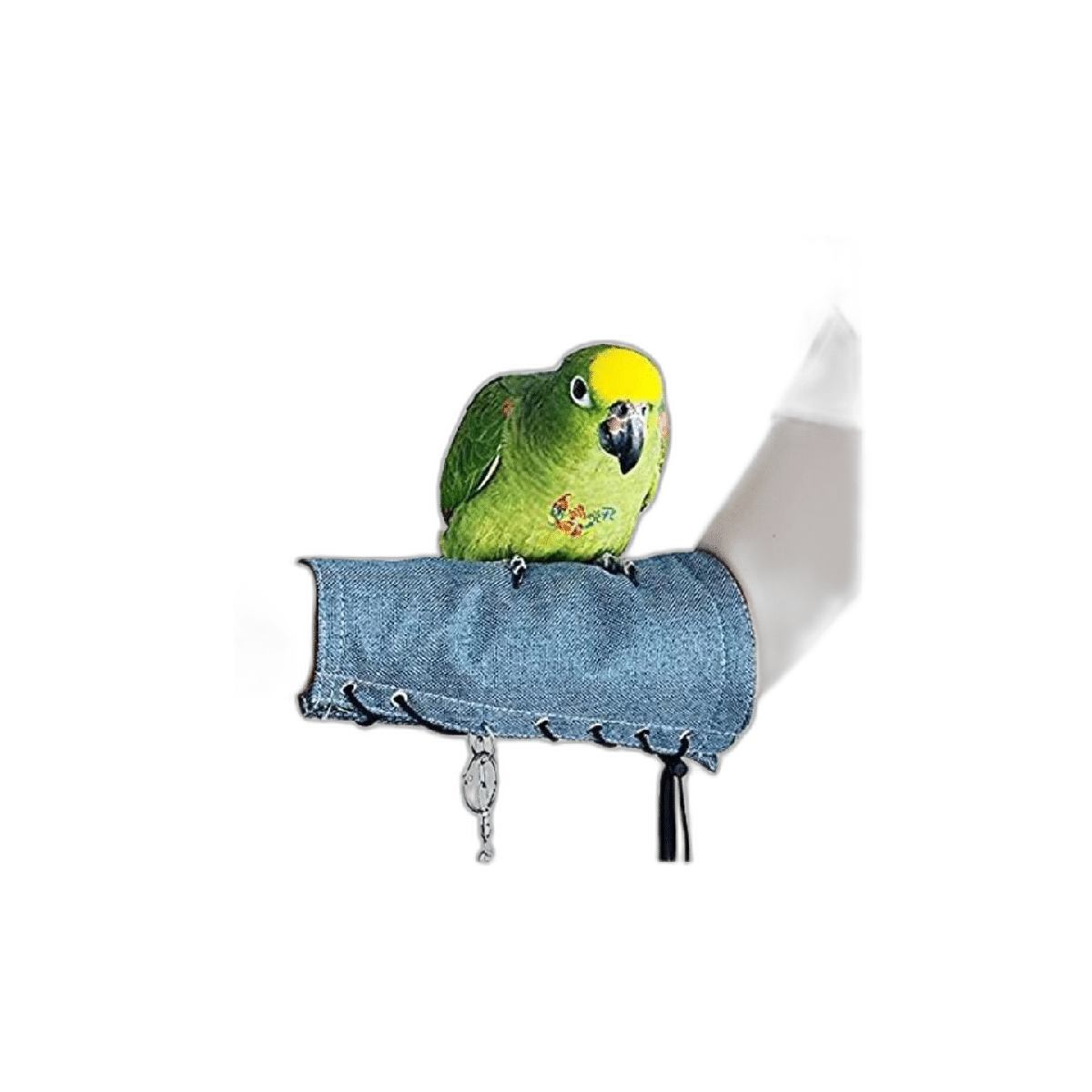 Tobillera de pájaro con hombros antiarañazos