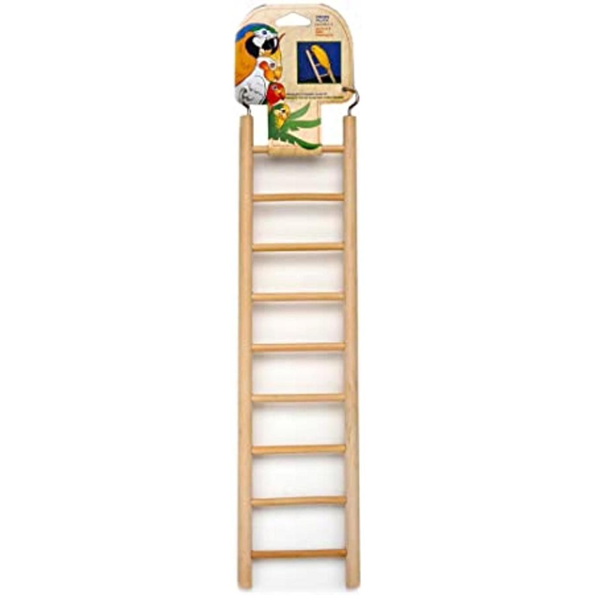 Penn Plax BA115 Escalera de madera para pájaros de 9
