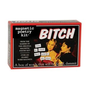 Kit imantado Parent 2 de Magnetic Poetry Bitch_1