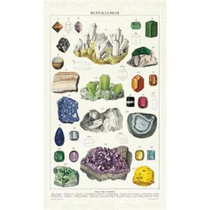 Cavallini Papers Co. Cavallini Vintage Mineralogy_1