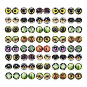 100 piezas de búho serpiente lagarto ojos de animal_1