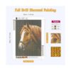NAIMOER Kits de pintura de diamantes de caballo para_2