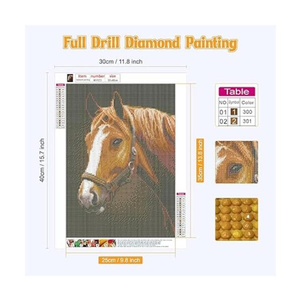 NAIMOER Kits de pintura de diamantes de caballo para_2