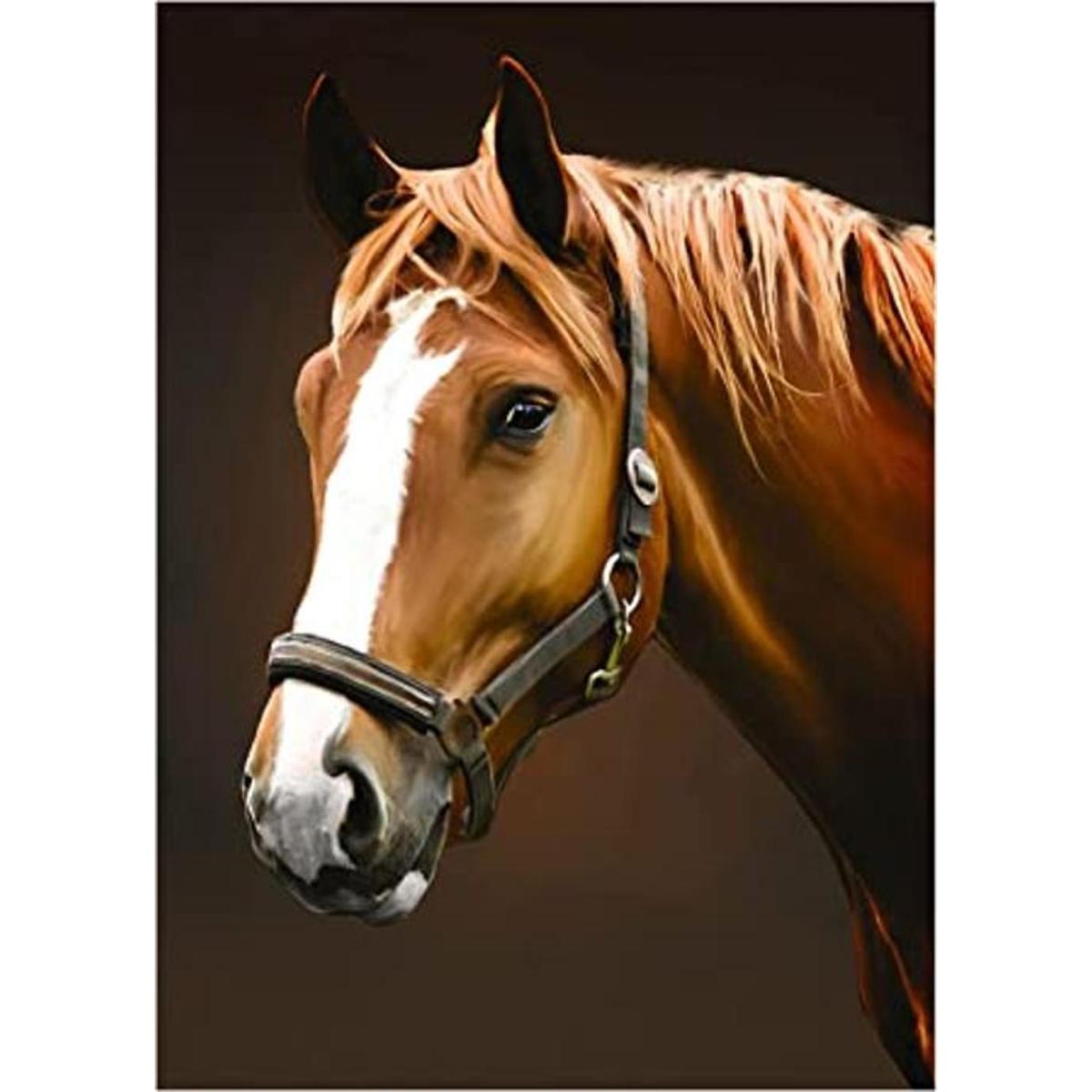 NAIMOER Kits de pintura de diamantes de caballo para