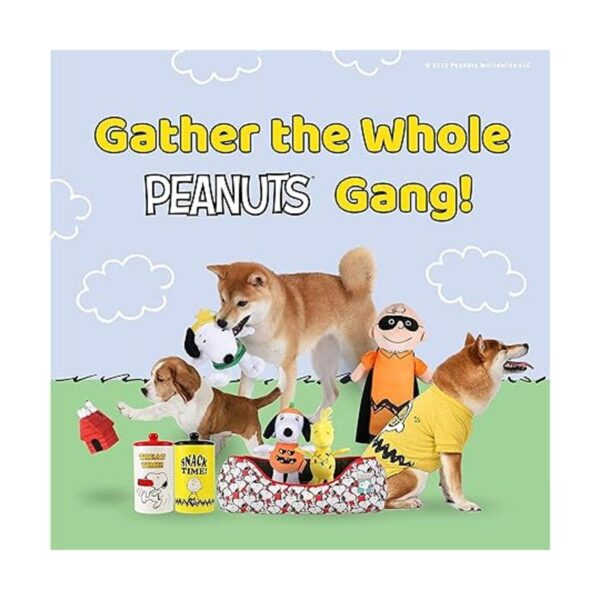 Peanuts For Pets Juguetes de amor arcoíris para perros