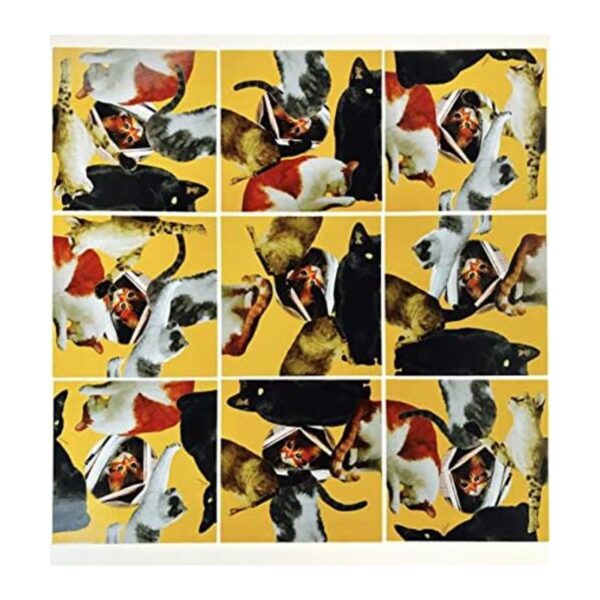 Scramble Squares Cat Rompecabezas desafiante de 9 piezas_1