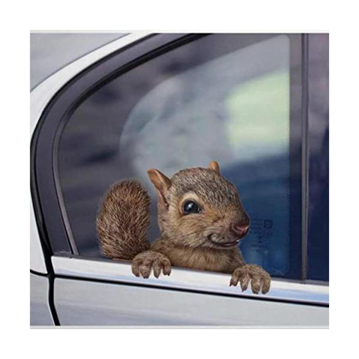 Pegatina de ardilla de bienvenida para coche camión