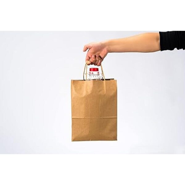 RACETOP Pequeñas bolsas de papel kraft marrón con asas a