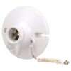 EATON Cableado S865WSPL 660Watt 250Volt Soporte de techo_2