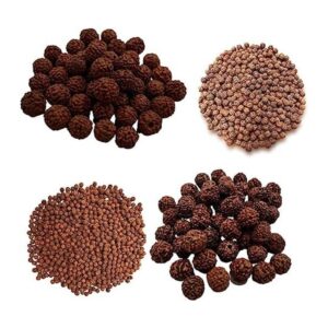 Naisha Rudraksh natural 165 cuentas sueltas RUDRAKSHA